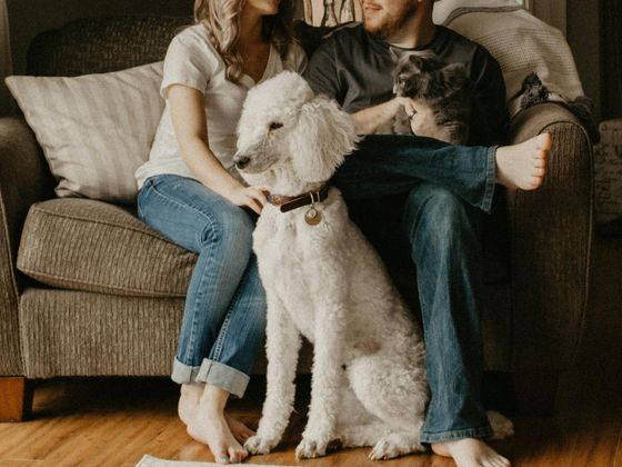 Choosing the Right Dog for Your Living Space